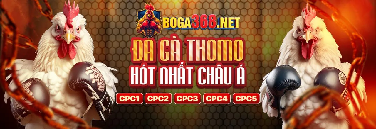 Chương trình VIP febet code với các quyền lợi độc quyền