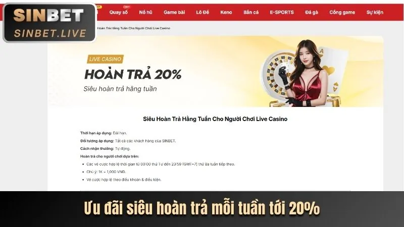 Lợi ích khi chọn febet code